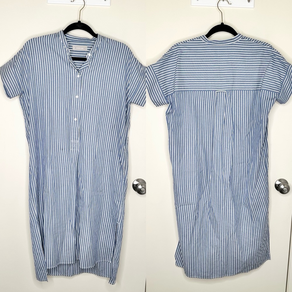 Everlane Button Front Blue Striped Shirt Dress